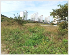  2024Ÿ54402     125-5      ()