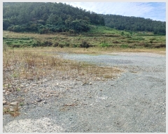  2024Ÿ54402     125-5      ()