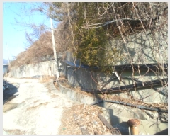  2024Ÿ597    ݰ踮 37-3      ,â