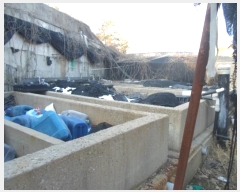  2024Ÿ597    ݰ踮 37-3      ,â