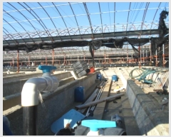  2024Ÿ597    ݰ踮 37-3      ,â