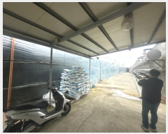  2024Ÿ��832 ���� ������ ������ ������ 1982-6      ����,â�����