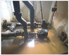  2024Ÿ955  ϵ ϵ ߸ 183-1      