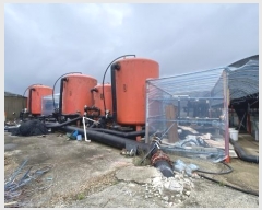  2024Ÿ955  ϵ ϵ ߸ 183-1      