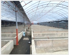  2024Ÿ955  ϵ ϵ ߸ 183-1      