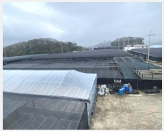  2024Ÿ955  ϵ ϵ ߸ 183-1      