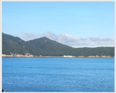  2024Ÿ��1842 ���� �ϵ��� ������ �Ÿ� ��152      ����(�Ӿ�)���