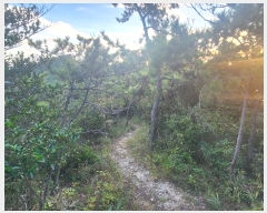  2024Ÿ��1842 ���� �ϵ��� ������ �Ÿ� ��152      ����(�Ӿ�)���