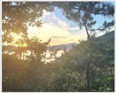  2024Ÿ��1842 ���� �ϵ��� ������ �Ÿ� ��152      ����(�Ӿ�)���