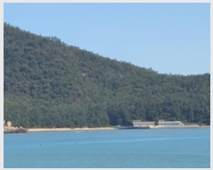  2024Ÿ��1842 ���� �ϵ��� ������ �Ÿ� ��152      ����(�Ӿ�)���