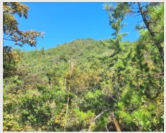  2024Ÿ��1842 ���� �ϵ��� ������ �Ÿ� ��152      ����(�Ӿ�)���