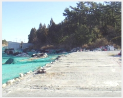  2024Ÿ1866  ϵ  鸮 225-1      ()