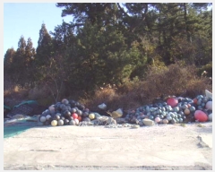  2024Ÿ1866  ϵ  鸮 225-1      ()