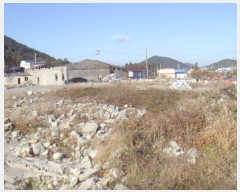  2024Ÿ1866  ϵ  鸮 225-1      ()