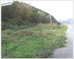  2024Ÿ��2210 ���� ������ �ǽŸ� ���渮 402-4      ����(��)���