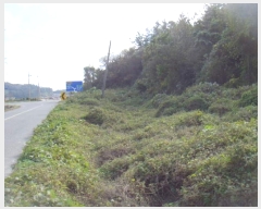  2024Ÿ��2210 ���� ������ �ǽŸ� ���渮 402-4      ����(��)���