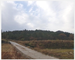  2024Ÿ��2272 ���� �س��� ����� ���Ǹ� ��162-7      ����(�Ӿ�)���