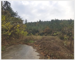  2024Ÿ��2272 ���� �س��� ����� ���Ǹ� ��162-7      ����(�Ӿ�)���