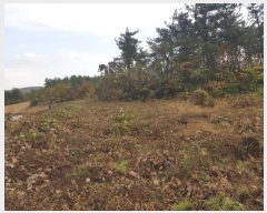  2024Ÿ��2272 ���� �س��� ����� ���Ǹ� ��162-7      ����(�Ӿ�)���