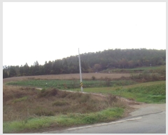  2024Ÿ��2272 ���� �س��� ����� ���Ǹ� ��162-7      ����(�Ӿ�)���