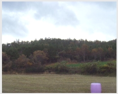  2024Ÿ��2272 ���� �س��� ����� ���Ǹ� ��162-7      ����(�Ӿ�)���