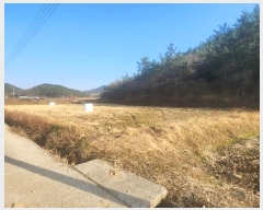  2024Ÿ��2326 ���� �س��� ȭ��� �ۻ긮 322      ����(��)���