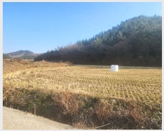  2024Ÿ��2326 ���� �س��� ȭ��� �ۻ긮 322      ����(��)���