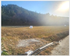  2024Ÿ��2326 ���� �س��� ȭ��� �ۻ긮 322      ����(��)���