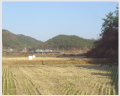  2024Ÿ��2326 ���� �س��� ȭ��� �ۻ긮 322      ����(��)���