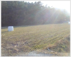  2024Ÿ��2326 ���� �س��� ȭ��� �ۻ긮 322      ����(��)���