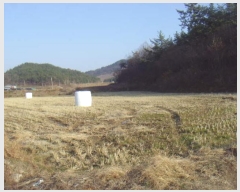  2024Ÿ��2326 ���� �س��� ȭ��� �ۻ긮 322      ����(��)���