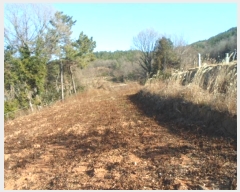  2024Ÿ2395  س   962-1      (1)