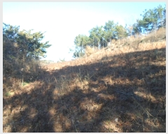  2024Ÿ2395  س   962-1      (1)