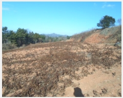  2024Ÿ2395  س   962-1      (1)