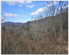  2024Ÿ��2463 ���� �س��� ���ϸ� ������ ��191      ����(�Ӿ�)���