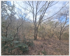  2024Ÿ��2463 ���� �س��� ���ϸ� ������ ��191      ����(�Ӿ�)���