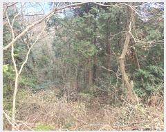  2024Ÿ��2463 ���� �س��� ���ϸ� ������ ��191      ����(�Ӿ�)���