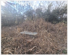  2024Ÿ��2463 ���� �س��� ���ϸ� ������ ��191      ����(�Ӿ�)���