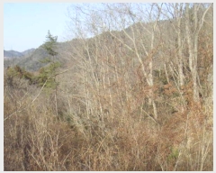  2024Ÿ��2463 ���� �س��� ���ϸ� ������ ��191      ����(�Ӿ�)���