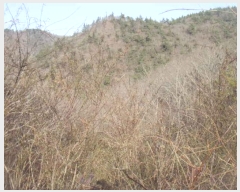  2024Ÿ��2463 ���� �س��� ���ϸ� ������ ��191      ����(�Ӿ�)���