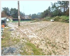  2024Ÿ��50851 ���� �ϵ��� ������ �۰ 152-3      ����(��)���