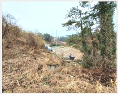  2024Ÿ��50851 ���� �ϵ��� ������ �۰ 152-3      ����(��)���