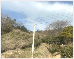  2024Ÿ��51052 ���� �س��� Ȳ��� ��ȣ�� 79-24      ����(��1)���