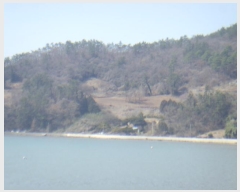  2024Ÿ��51052 ���� �س��� Ȳ��� ��ȣ�� 79-24      ����(��1)���