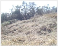  2024Ÿ��51052 ���� �س��� Ȳ��� ��ȣ�� 79-24      ����(��1)���