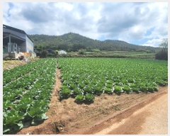  2024Ÿ��51618  â�����