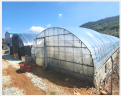  2024Ÿ��51618  â�����