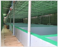  2024Ÿ51878  ϵ  θ 898-3      