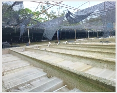  2024Ÿ51878  ϵ  θ 898-3      