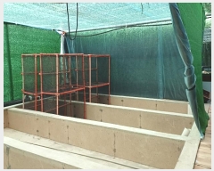  2024Ÿ51878  ϵ  θ 898-3      